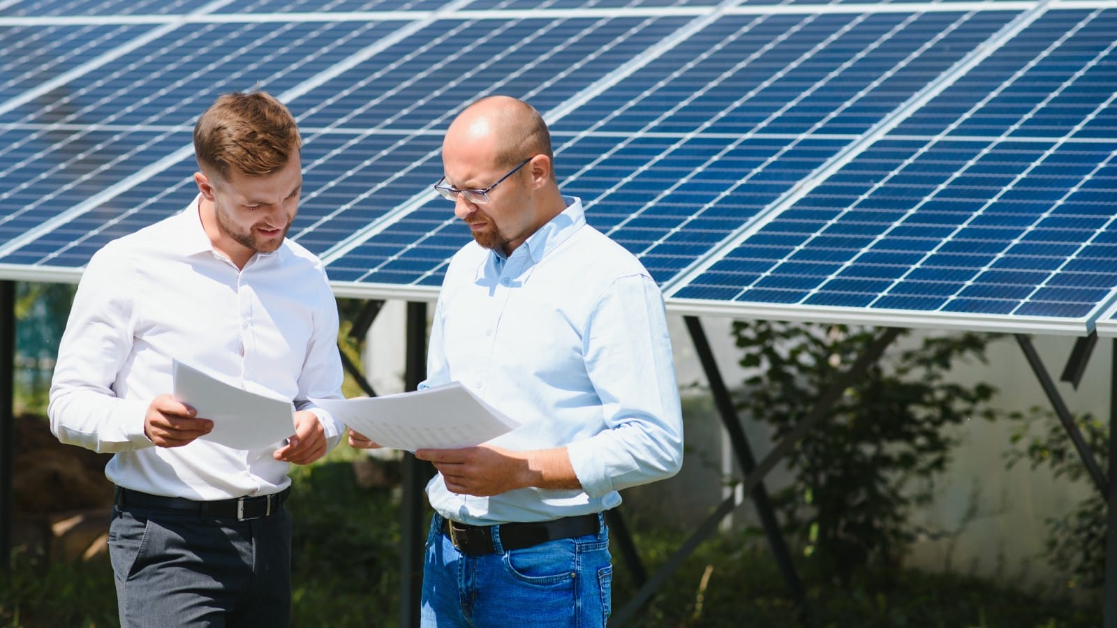 How to Choose the Right Solar Panels and Harness the Power of the Sun ...