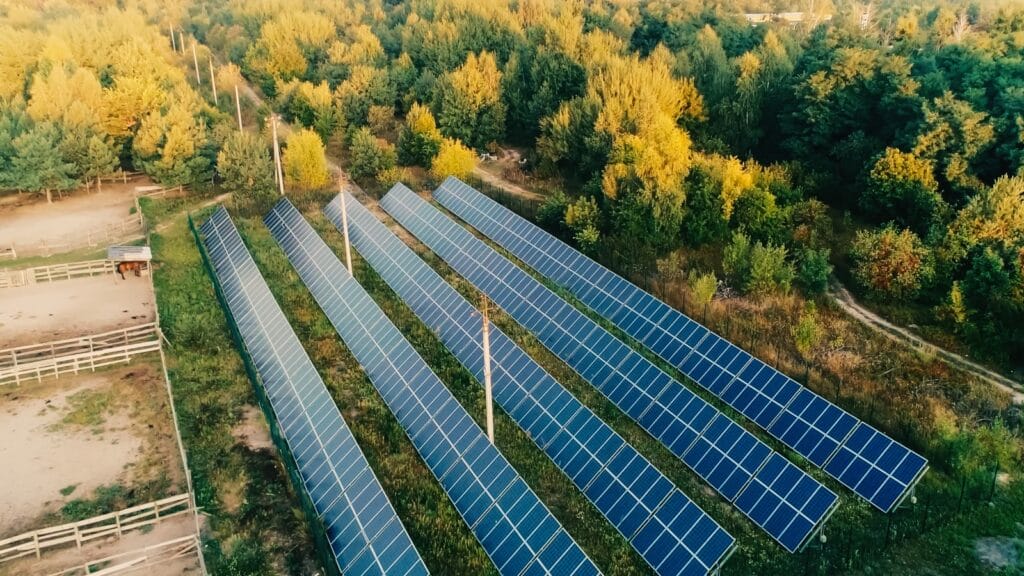 Aerial view of ground-mounted solar panels installed in a backyard surrounded by trees, showcasing an efficient solar energy setup.
